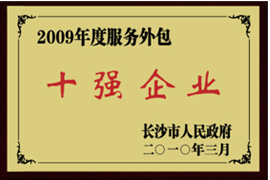 2009年长沙市服务外包十强企业