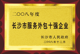 2008年长沙市服务外包十强企业